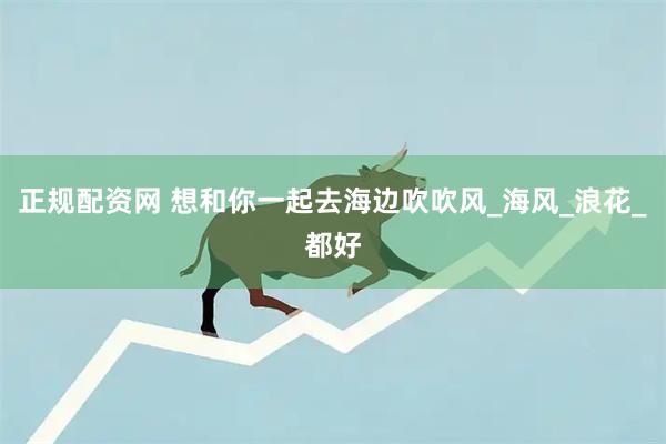 正规配资网 想和你一起去海边吹吹风_海风_浪花_都好