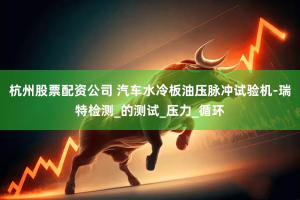 杭州股票配资公司 汽车水冷板油压脉冲试验机-瑞特检测_的测试_压力_循环