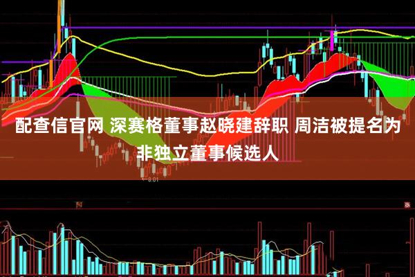 配查信官网 深赛格董事赵晓建辞职 周洁被提名为非独立董事候选人